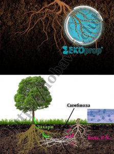 екопроп-3S действие