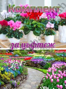 комплект за цъфтеж